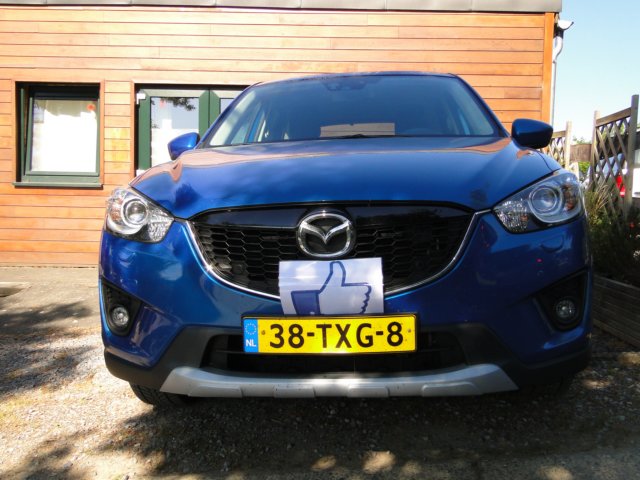 2014HWK 110.jpg